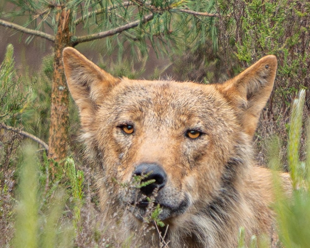 Afbeelding bij nieuws