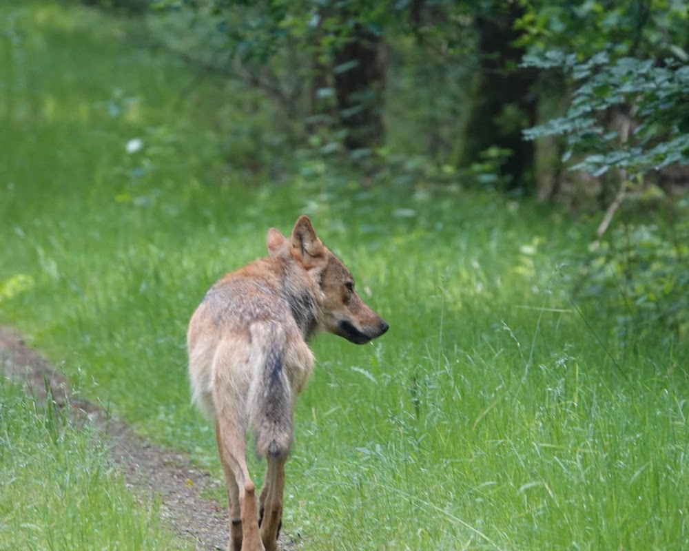 Afbeelding bij nieuws