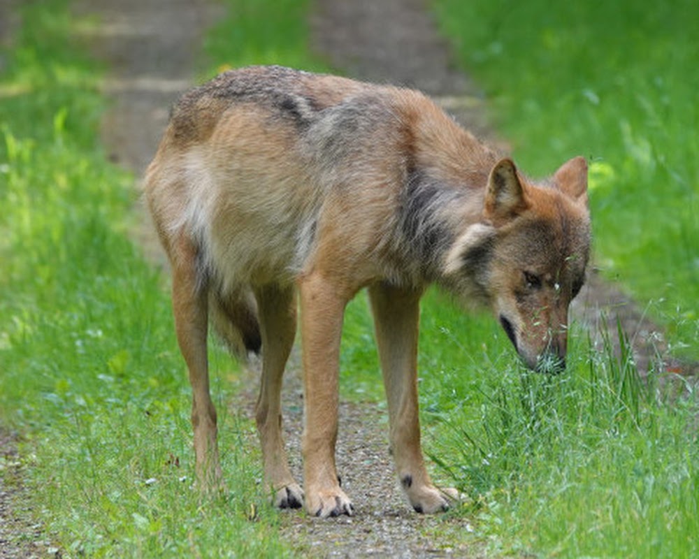 Afbeelding bij nieuws