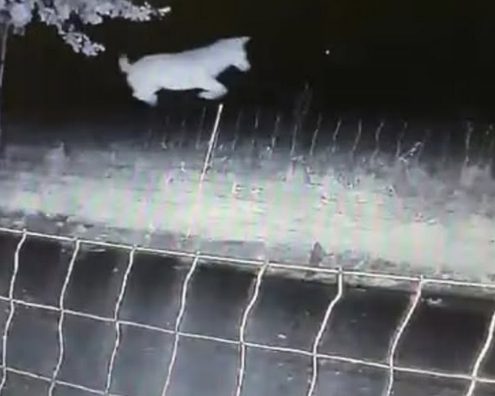 Afbeelding bij nieuws