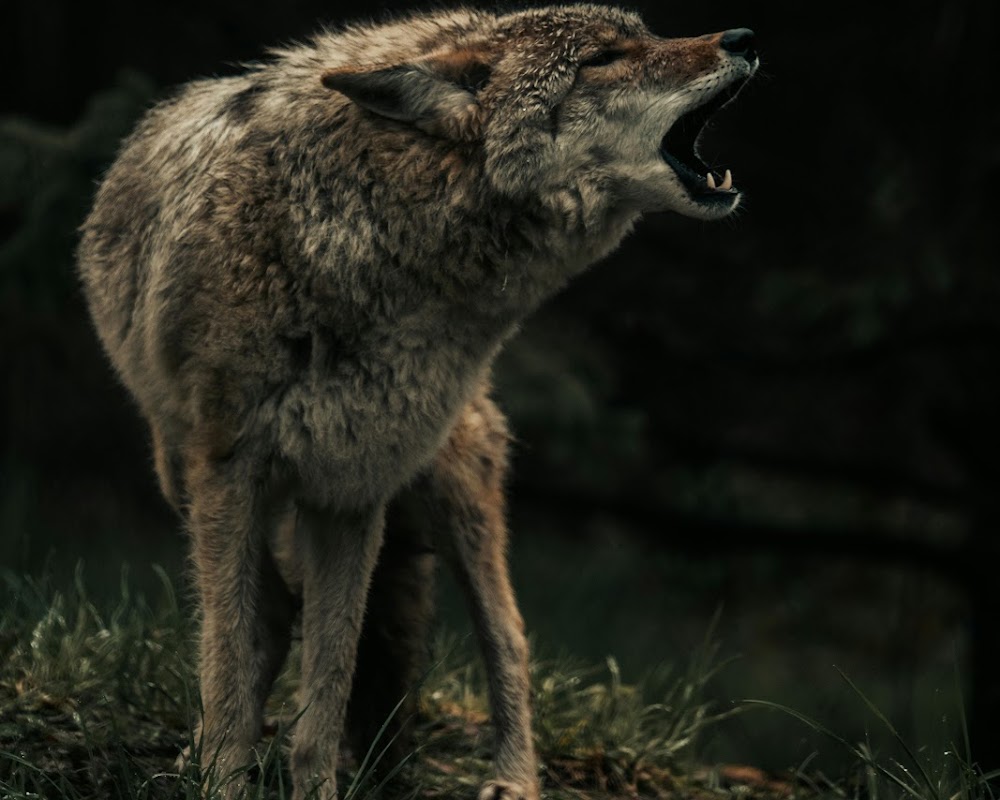 Afbeelding bij nieuws