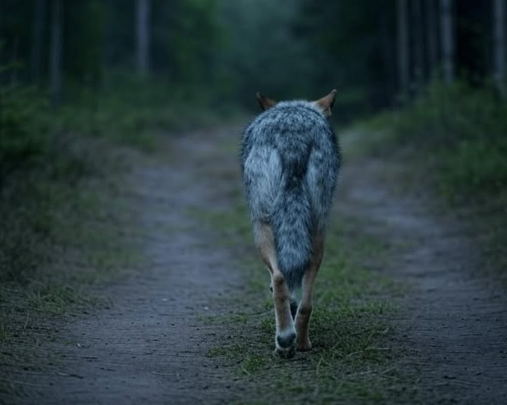 Afbeelding bij nieuws