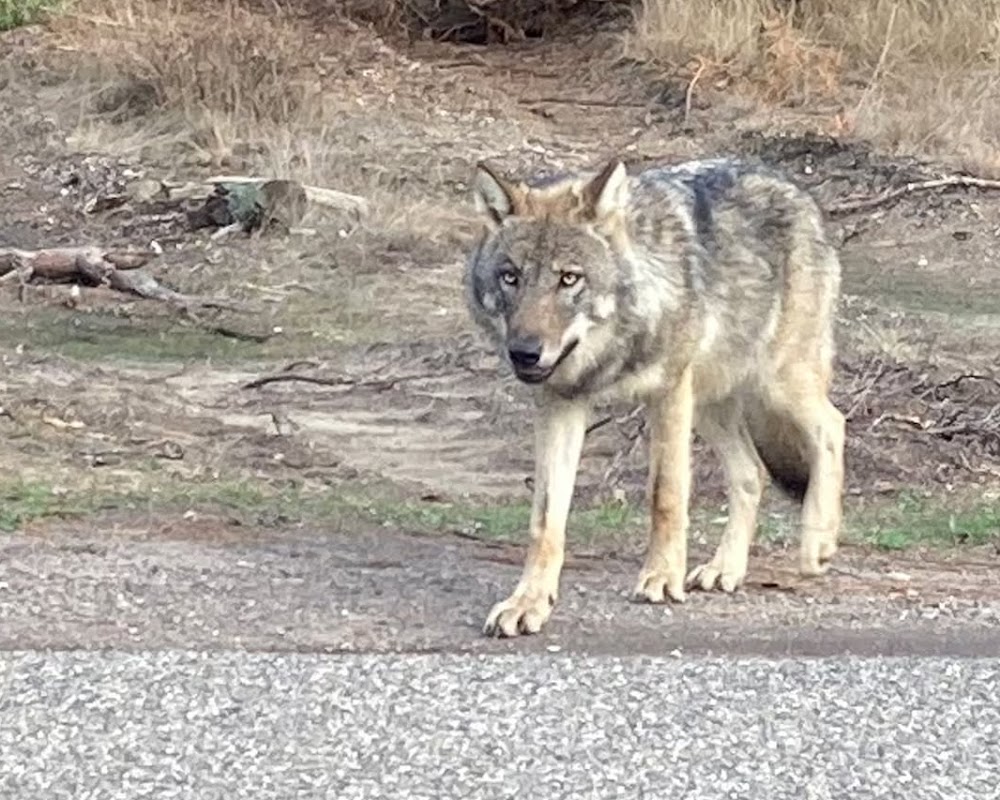 Afbeelding bij nieuws
